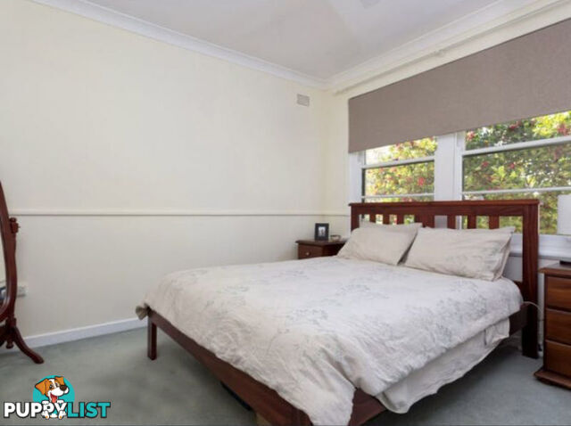 14 Dalton Street Turvey Park NSW 2650