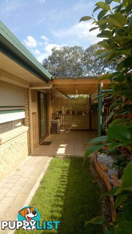 26 Raintree Street Mansfield QLD 4122