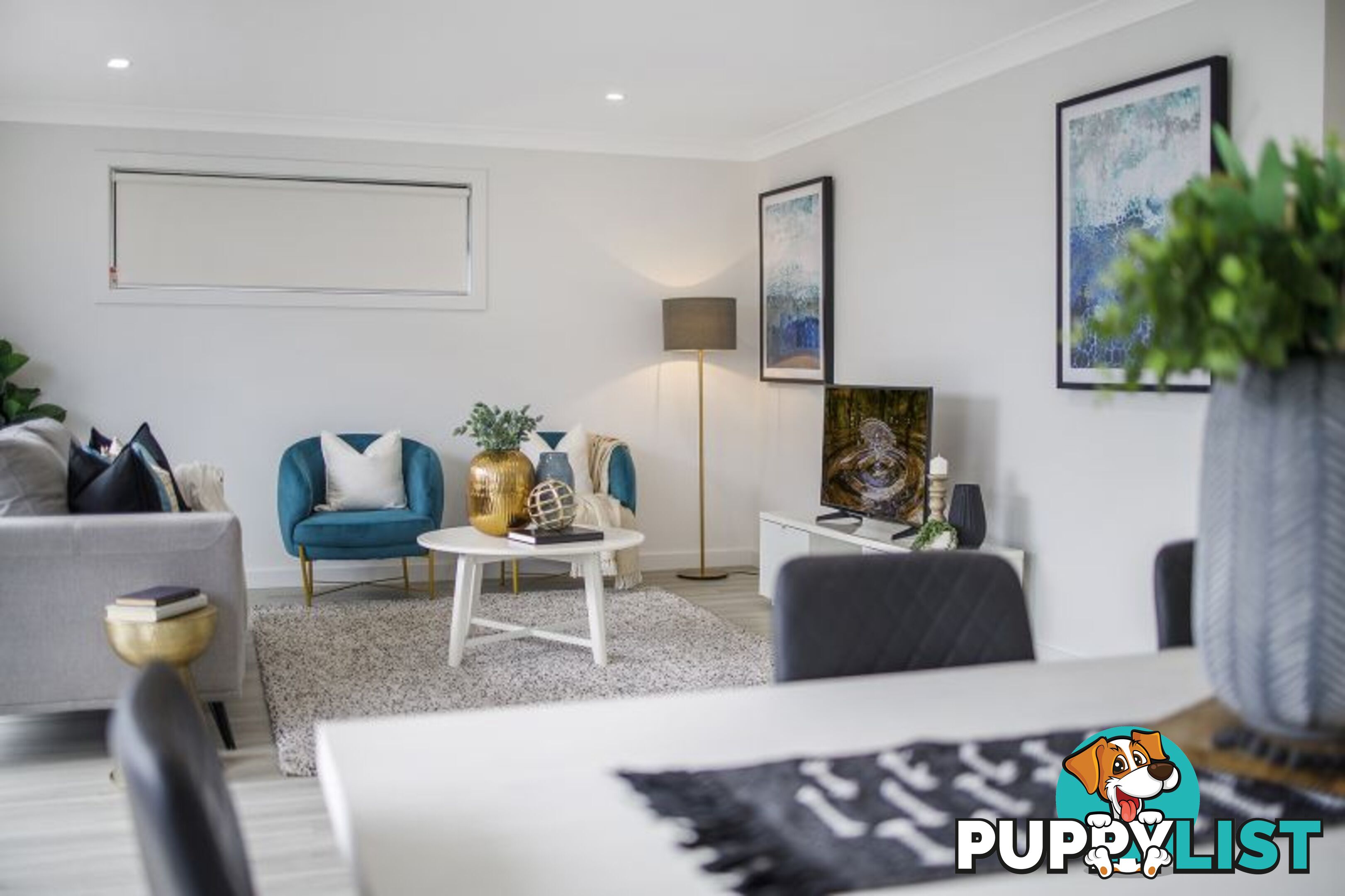 3 Leatherwood Avenue Leppington NSW 2179