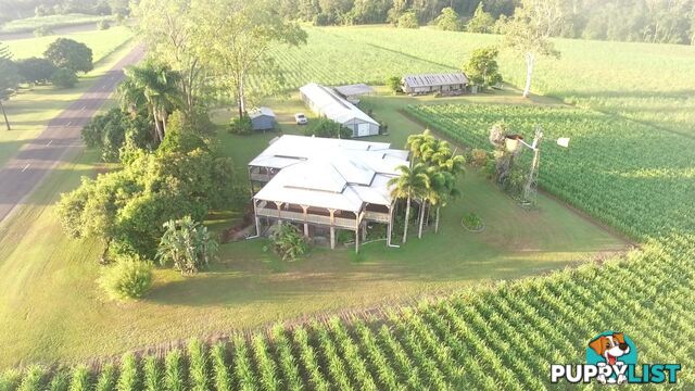 1540 Hawkins Creek Road Hawkins Creek QLD 4850