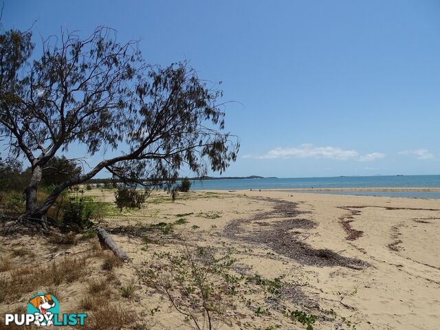 BUCASIA QLD 4750