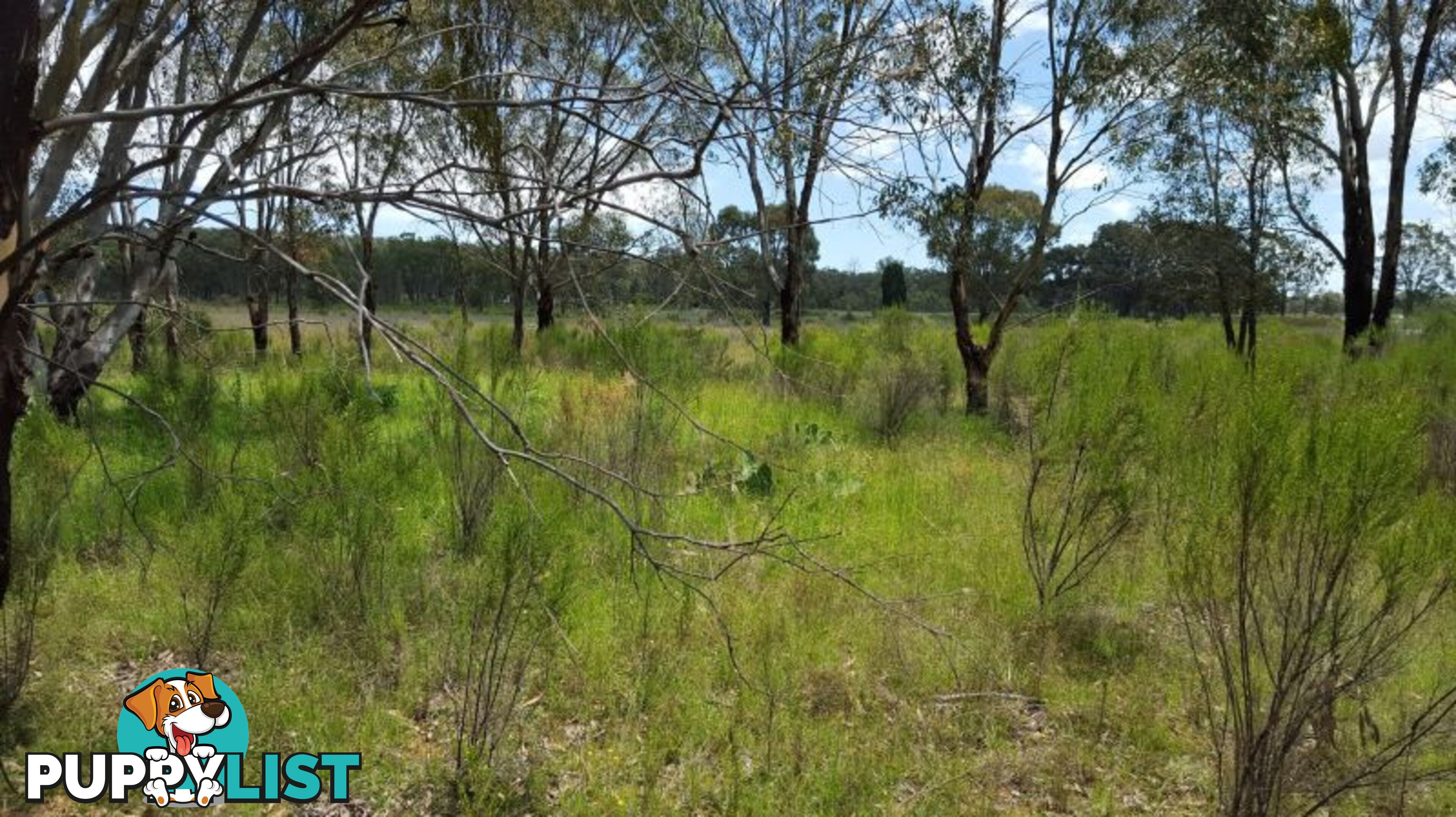 1803 Blue Springs Rd BUNGABA NSW 2852