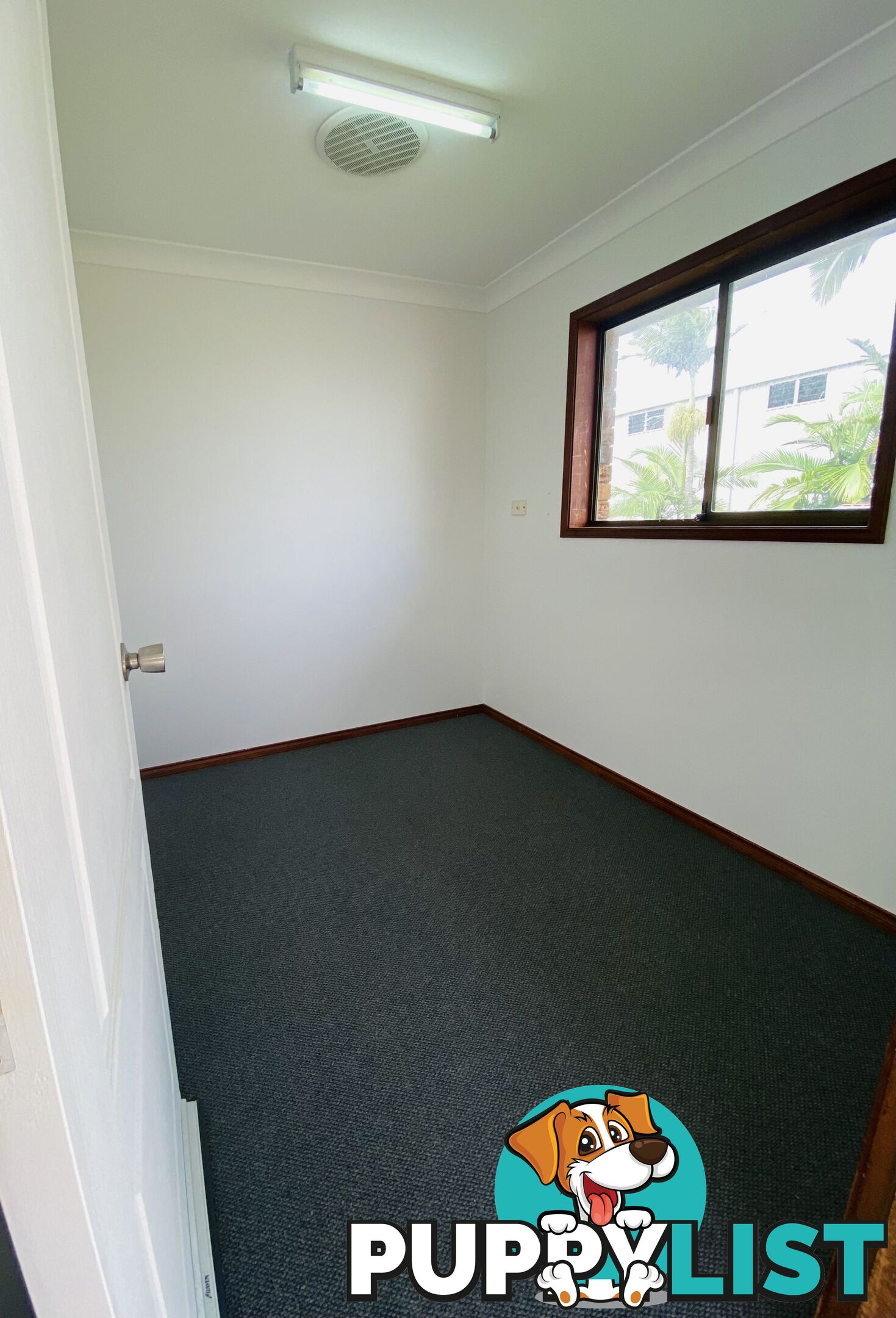 4 Picnic street Pialba QLD 4655