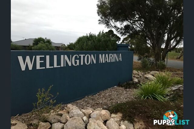 Lot 960 Pangarinda Drive Wellington East SA 5259