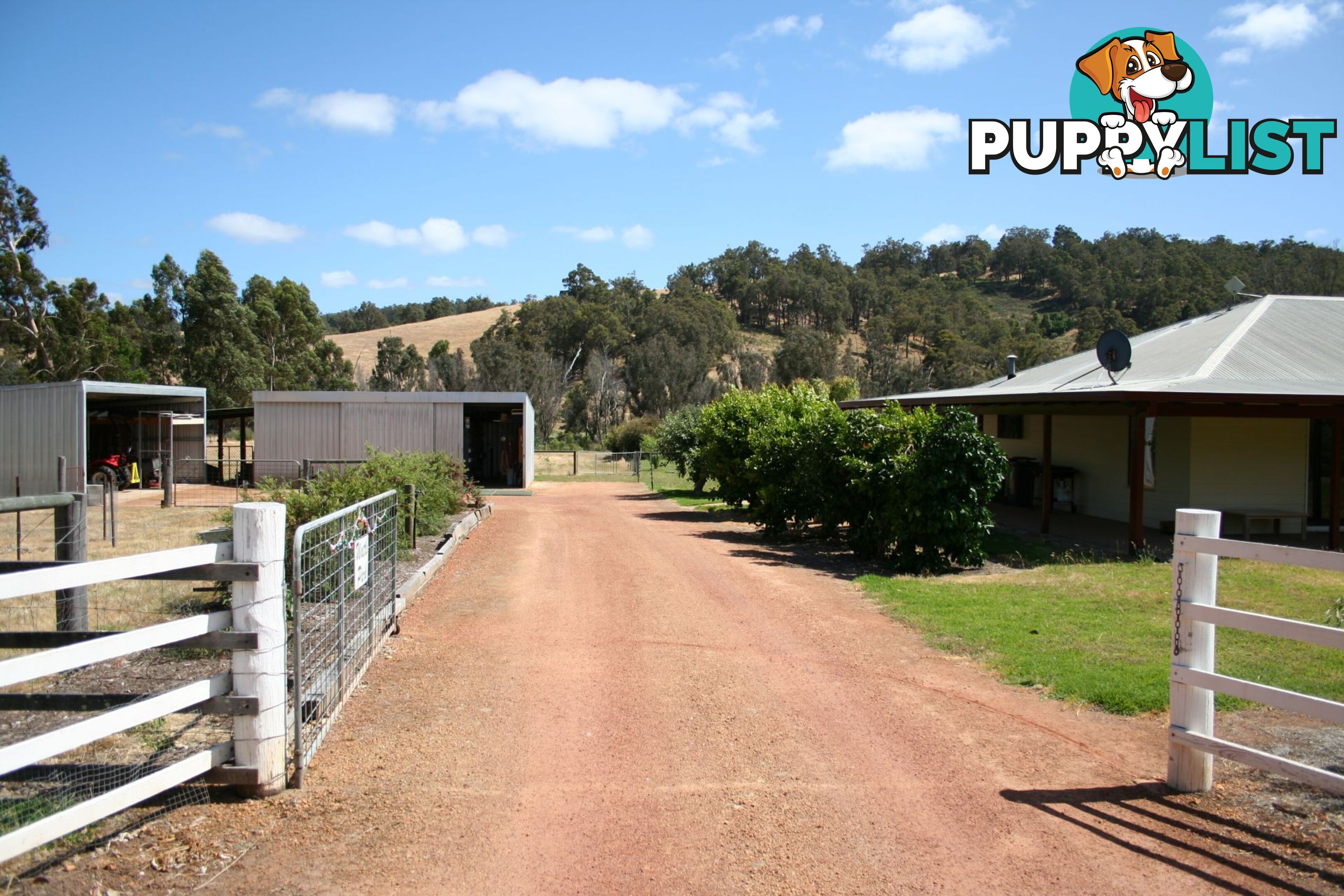 49 Fowler Street Yabberup WA 6239