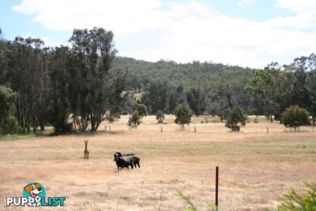 49 Fowler Street Yabberup WA 6239