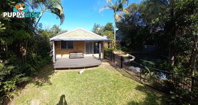 28 Solway Drive SUNSHINE BEACH QLD 4567