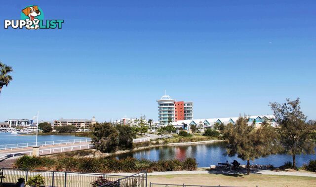 1 76 Ormsby Tce MANDURAH WA 6210