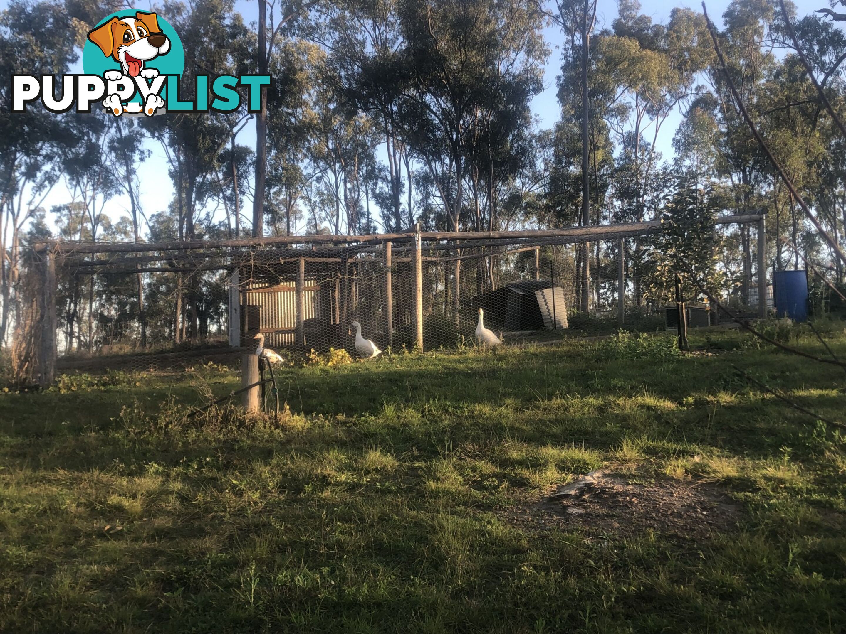 211 H H Innes road Horse Camp QLD 4671