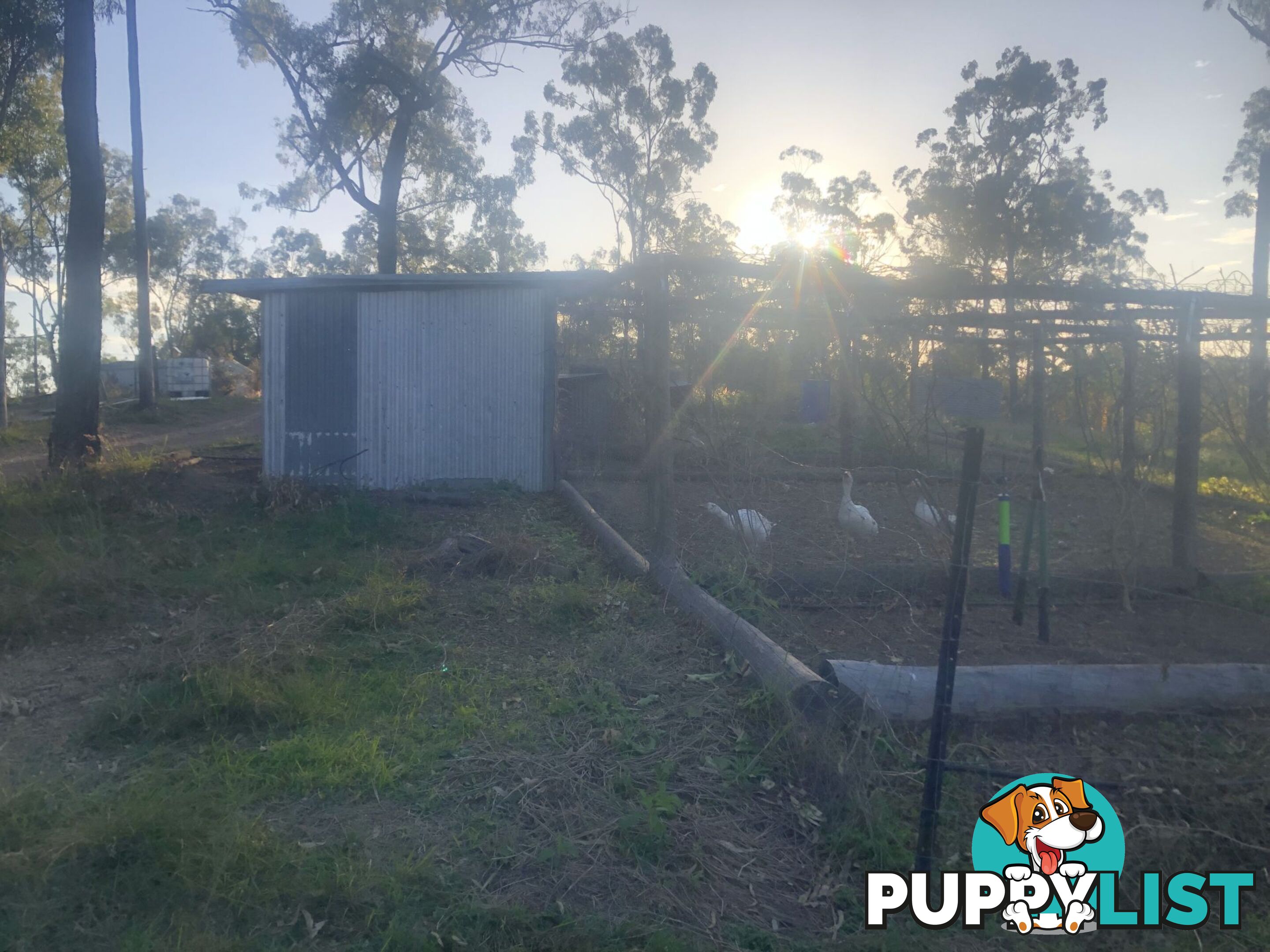 211 H H Innes road Horse Camp QLD 4671