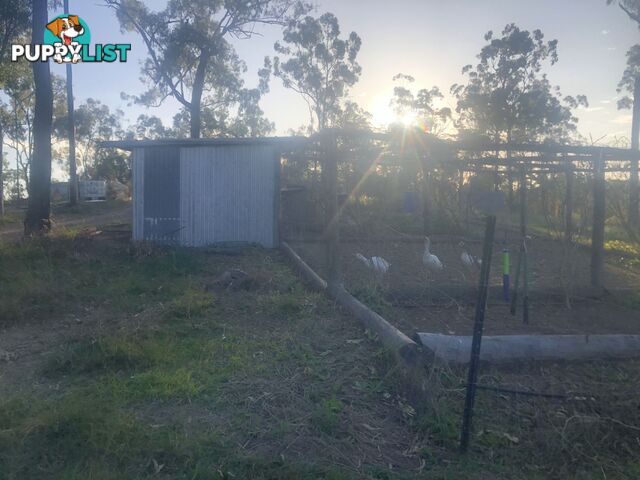 211 H H Innes road Horse Camp QLD 4671