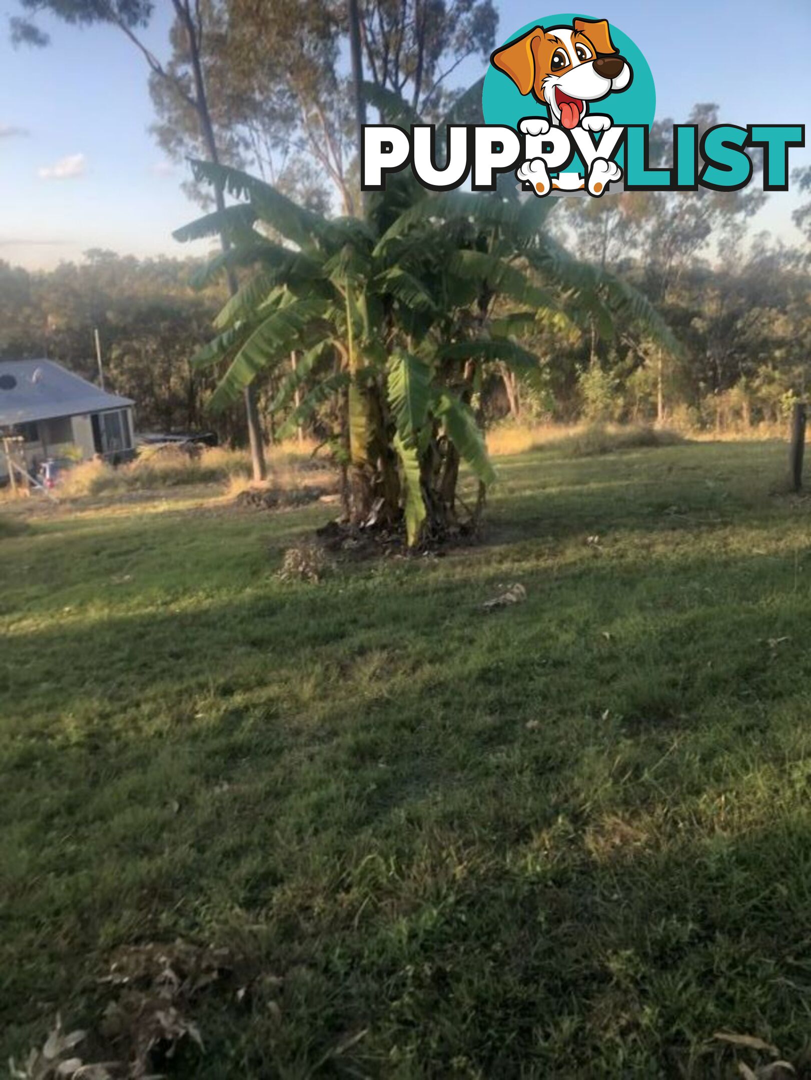 211 H H Innes road Horse Camp QLD 4671