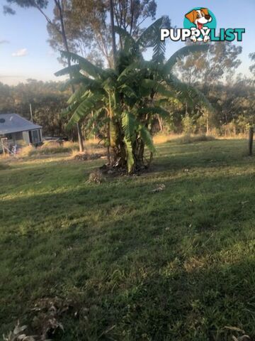 211 H H Innes road Horse Camp QLD 4671