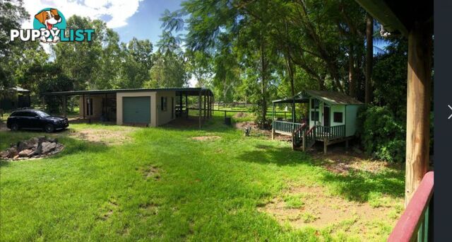 446 Forestry Rd BLUEWATER PARK QLD 4818