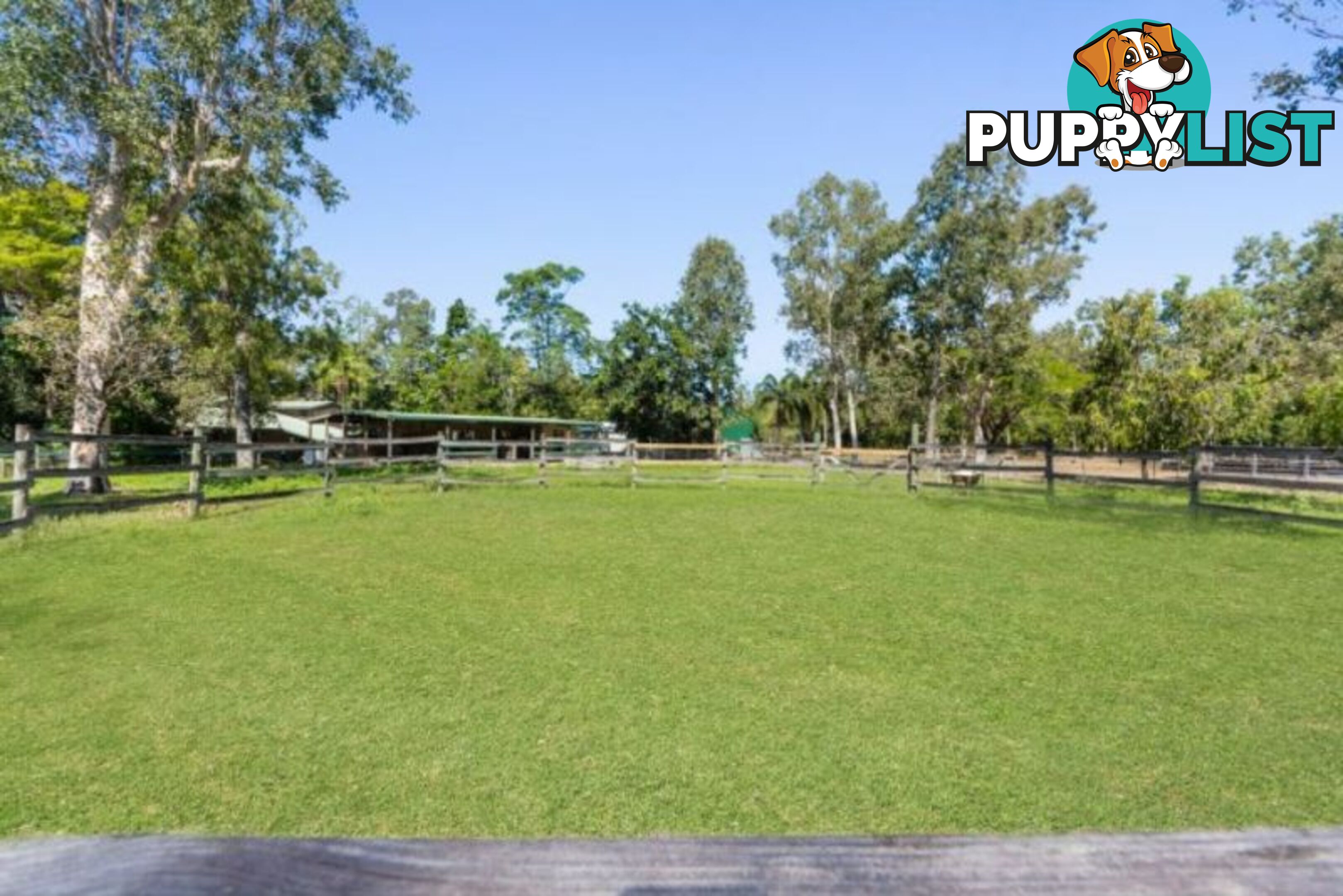 446 Forestry Rd BLUEWATER PARK QLD 4818