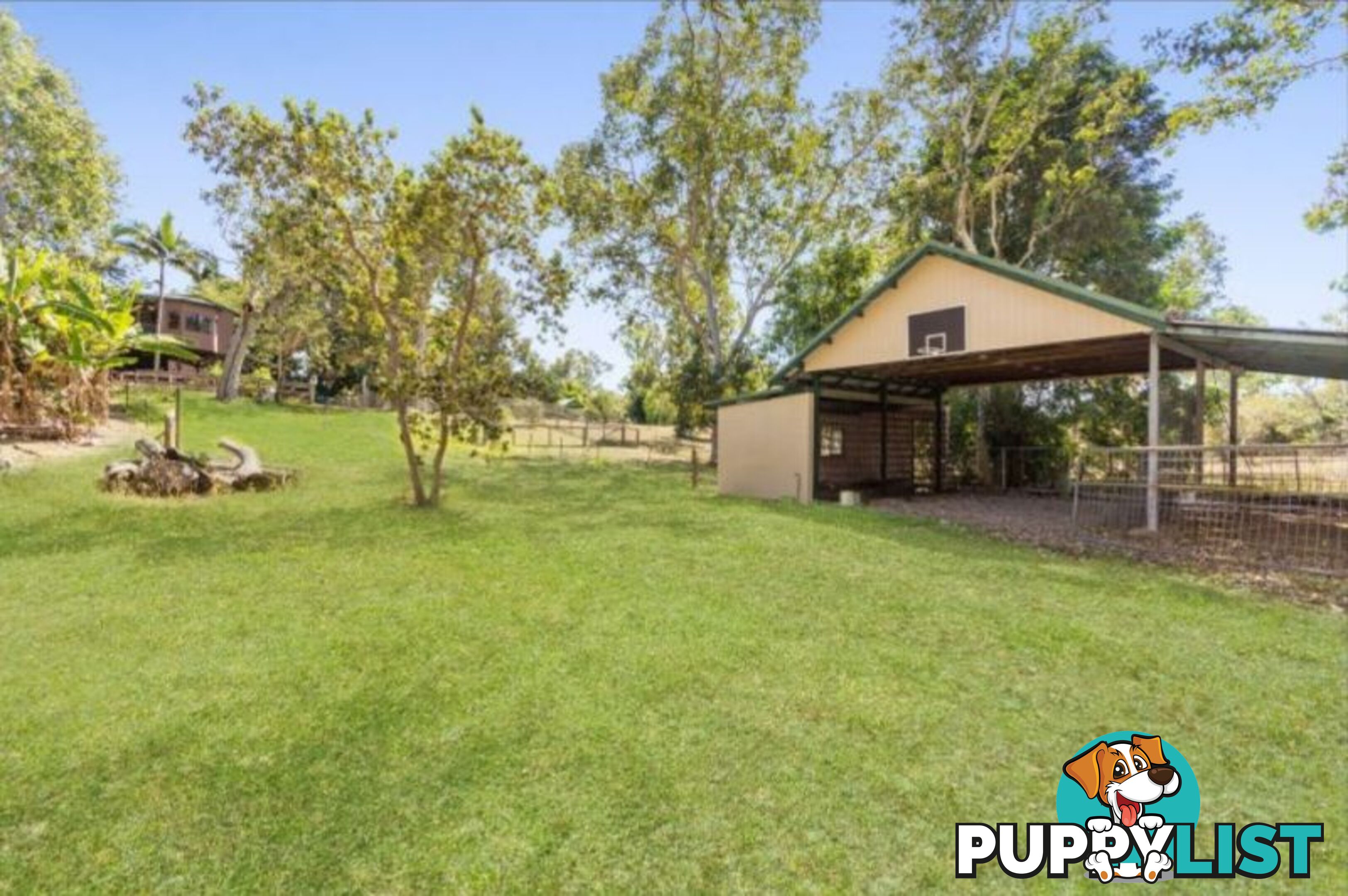 446 Forestry Rd BLUEWATER PARK QLD 4818