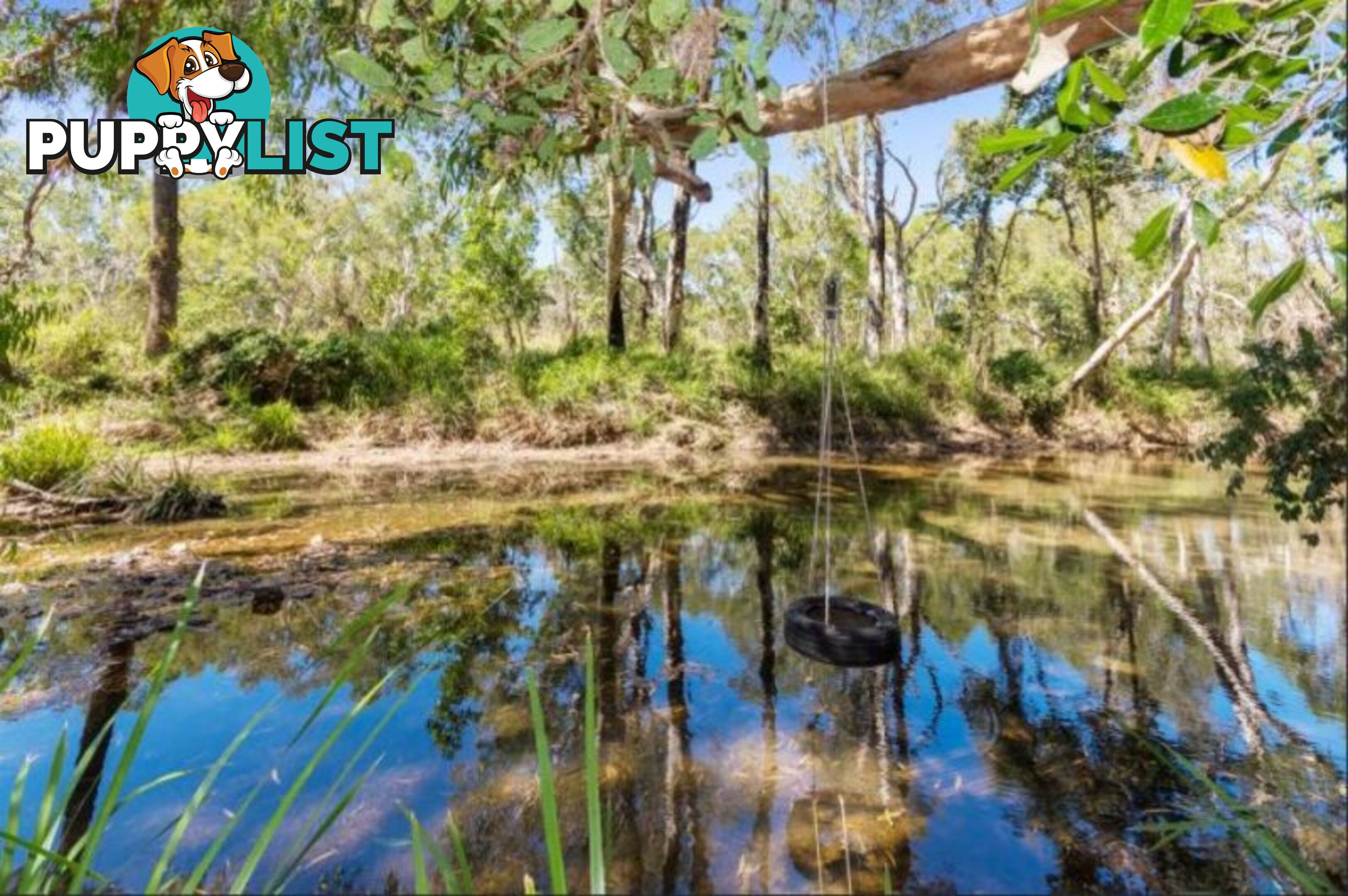 446 Forestry Rd BLUEWATER PARK QLD 4818