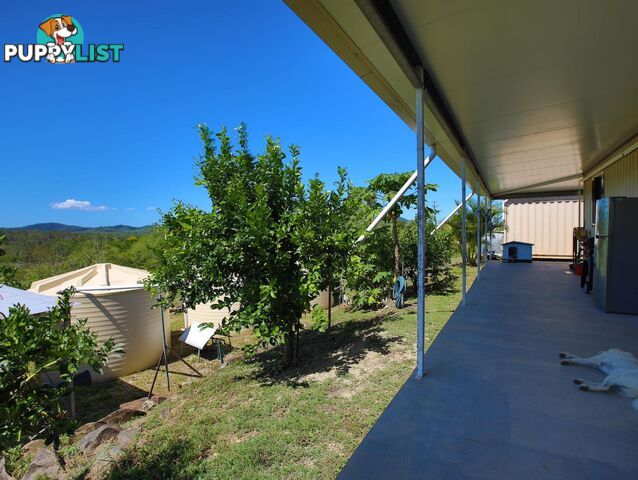 167 Lindeman Drive Bloomsbury QLD 4799