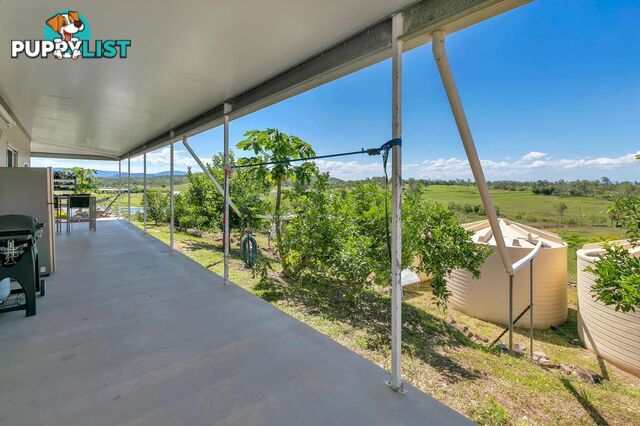 167 Lindeman Drive Bloomsbury QLD 4799