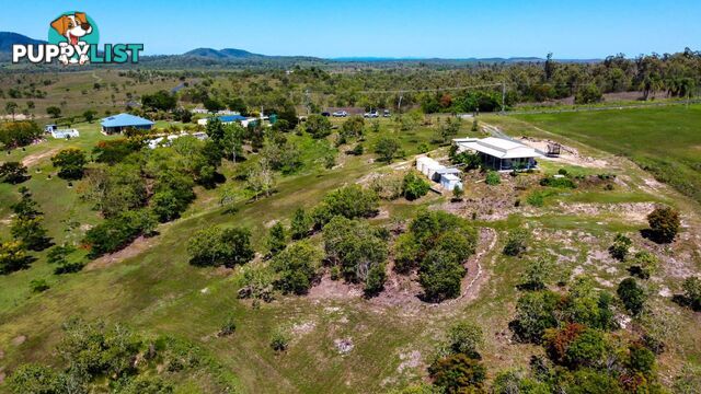 167 Lindeman Drive Bloomsbury QLD 4799