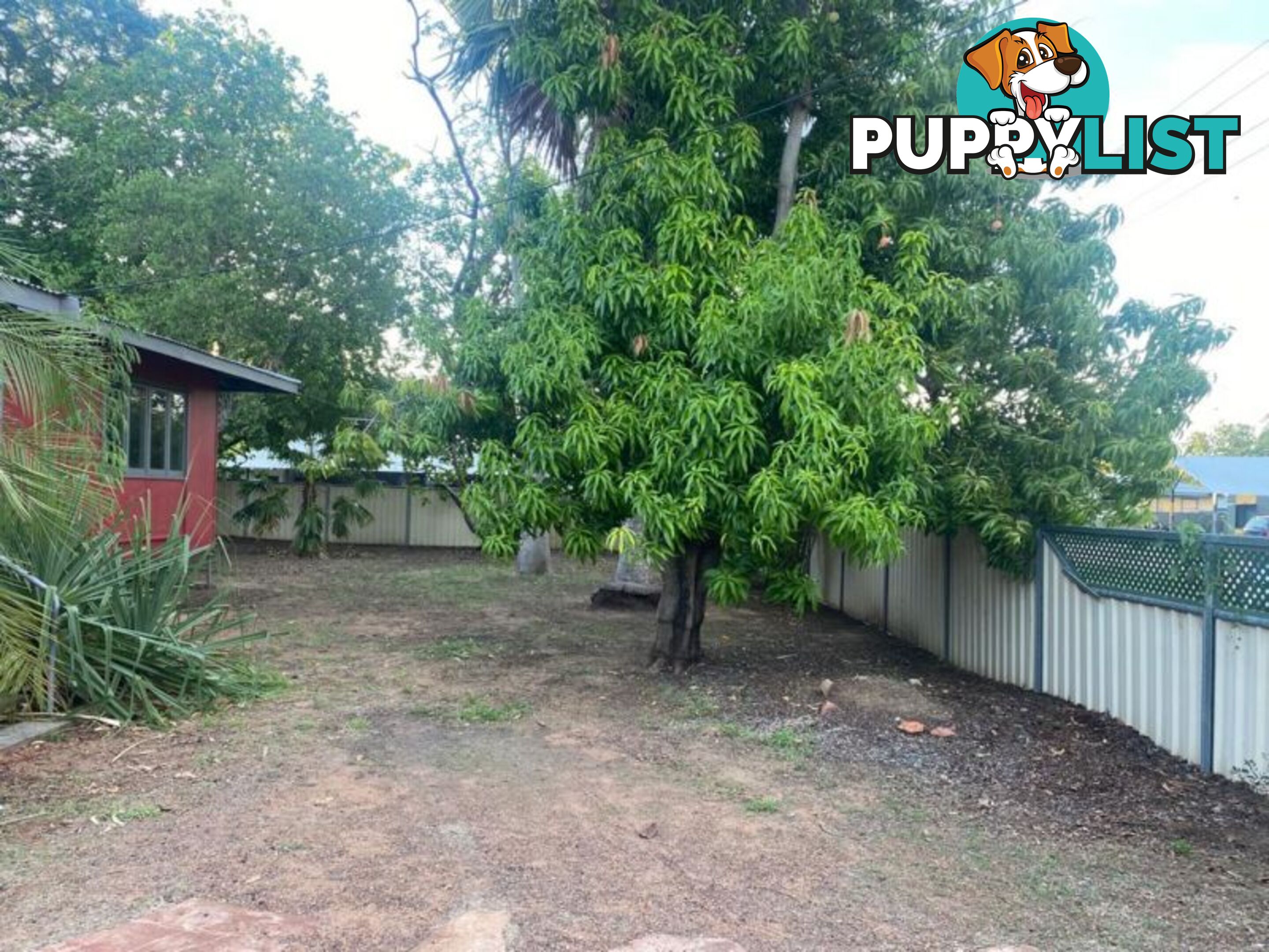 6 Mistletoe Avenue Kununurra WA 6743