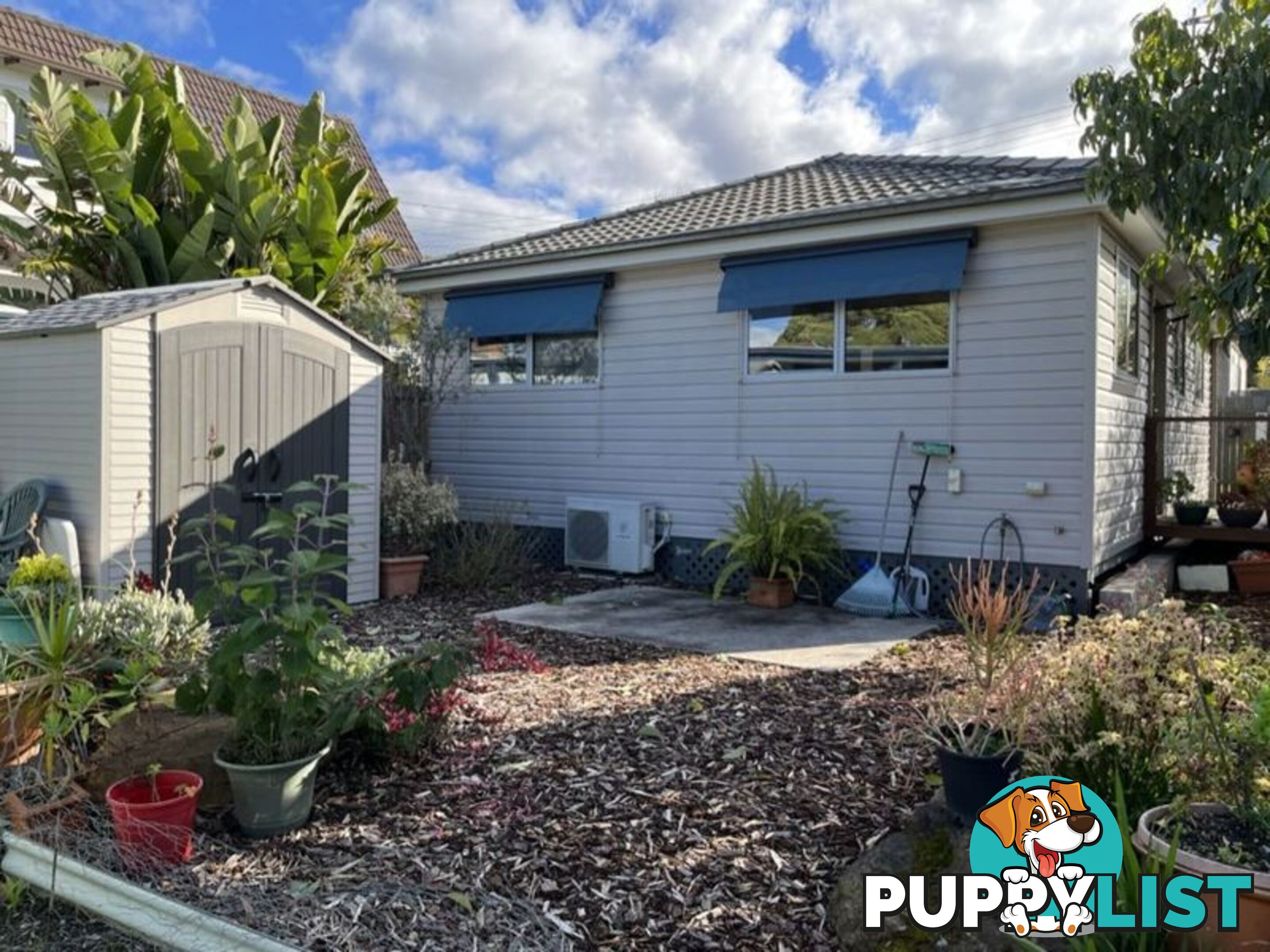 19 Louise Street JANNALI NSW 2226