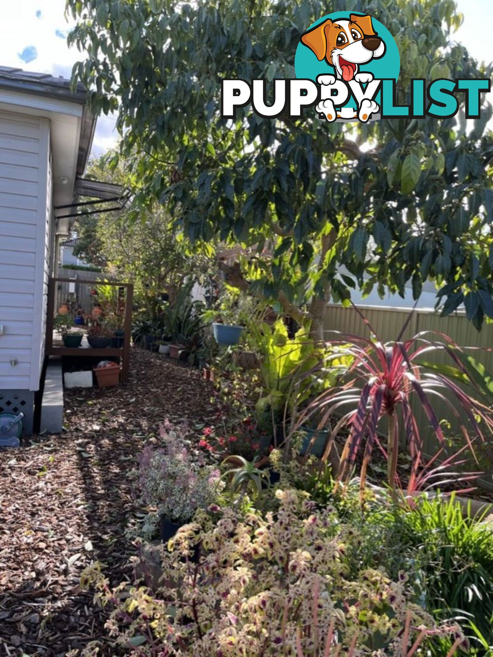 19 Louise Street JANNALI NSW 2226