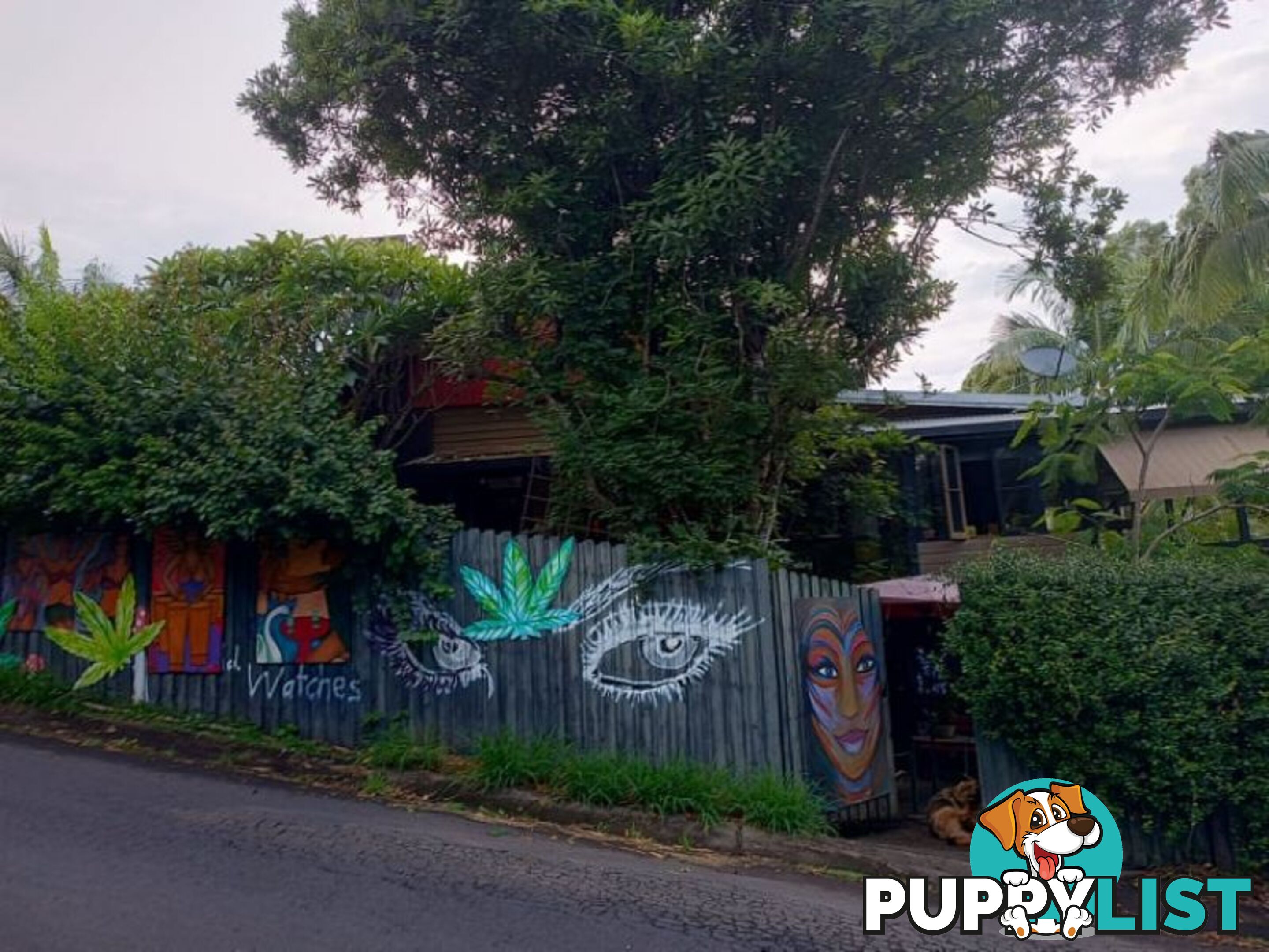 44 Cullen street Nimbin NSW 2480