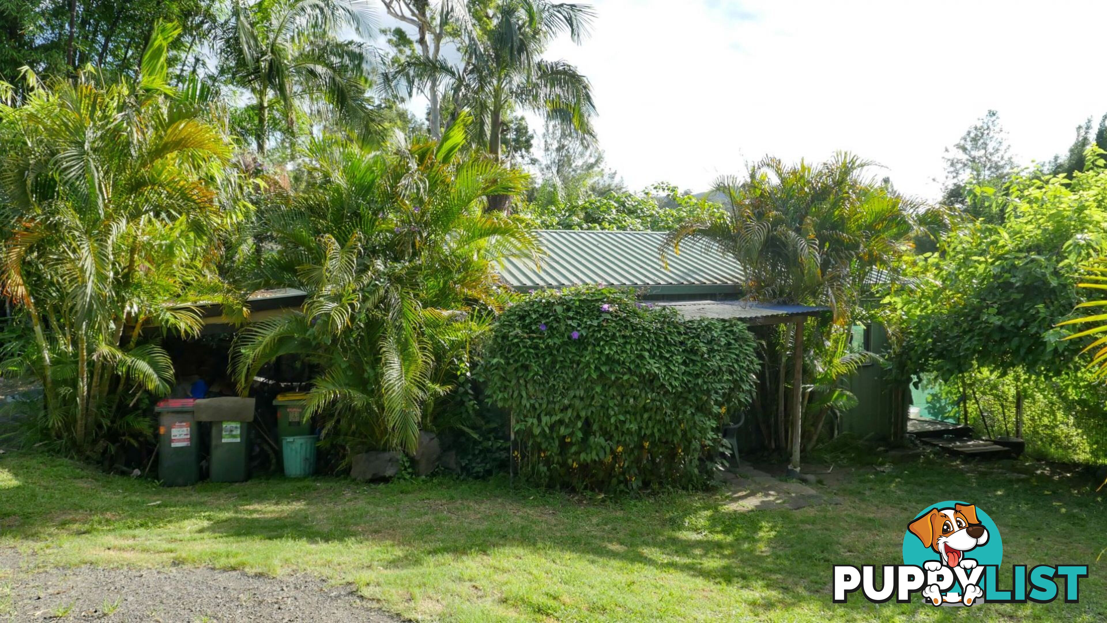 44 Cullen street Nimbin NSW 2480