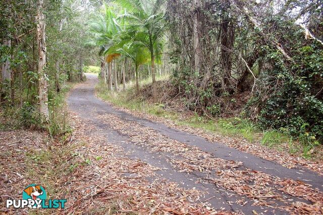 244 Doonan Bridge Road Verrierdale QLD 4562