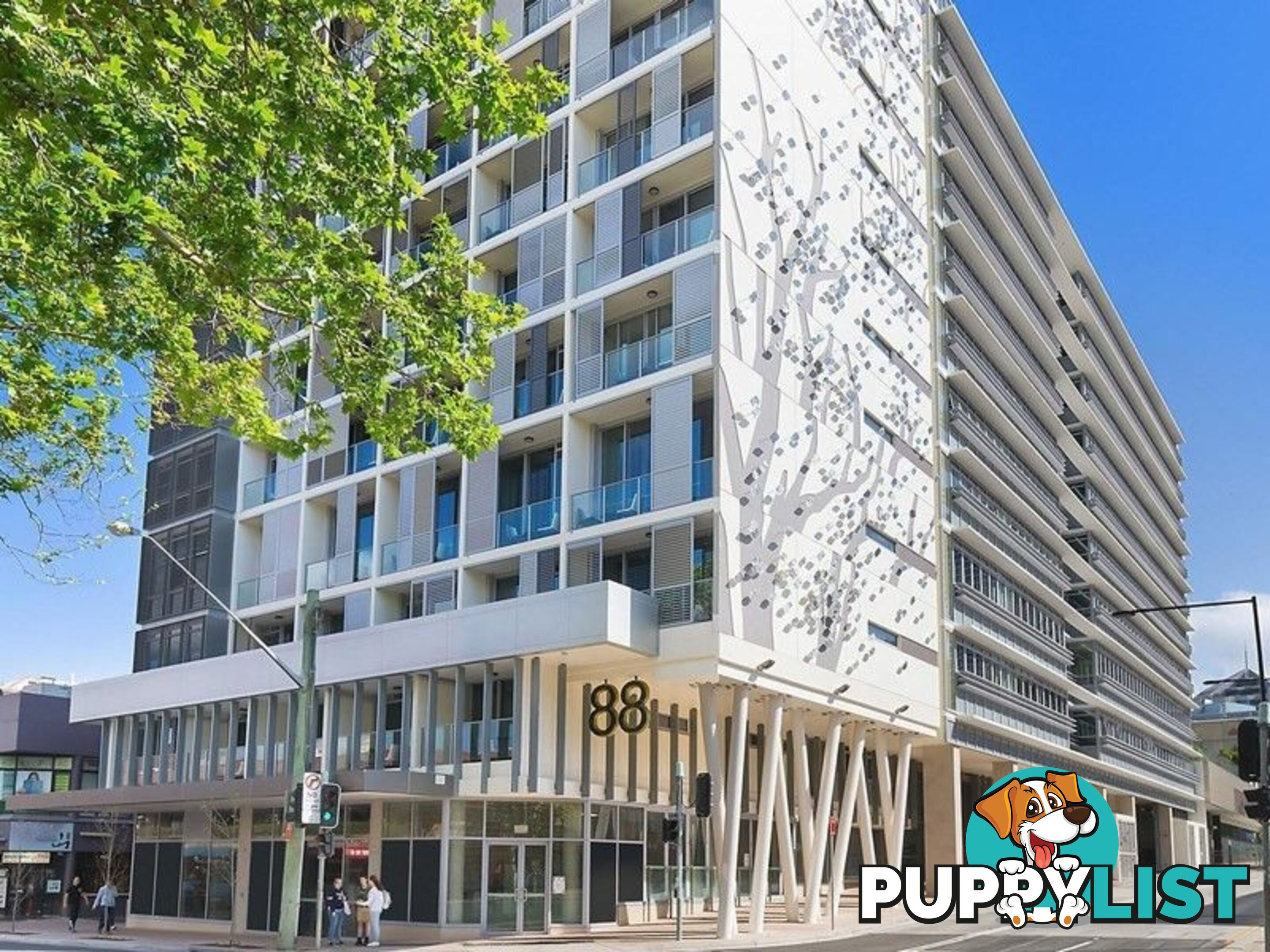 218 88 Archer Street CHATSWOOD NSW 2067