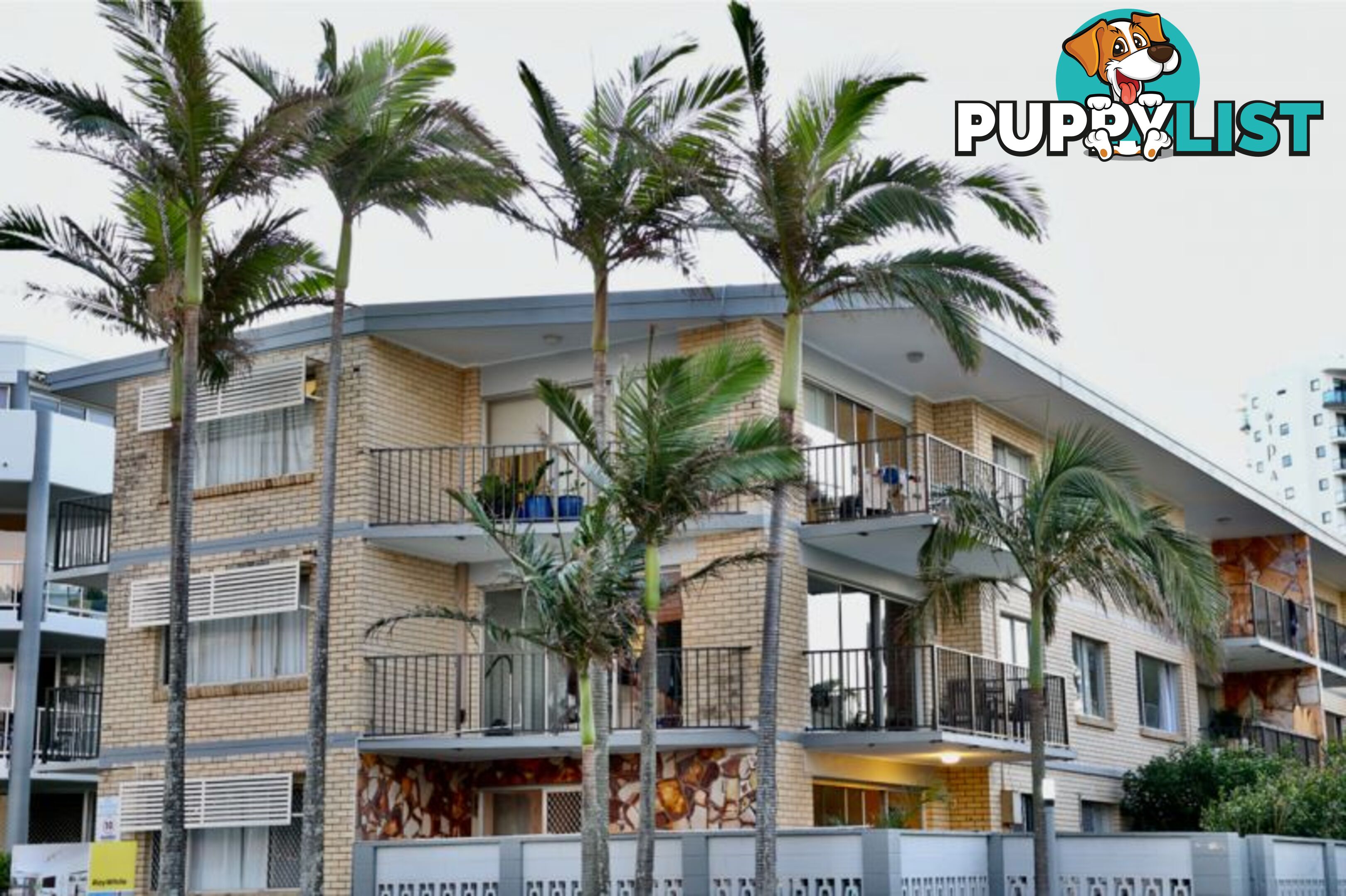 5 29-31 Old Burleigh Road Surfers Paradise QLD 4217