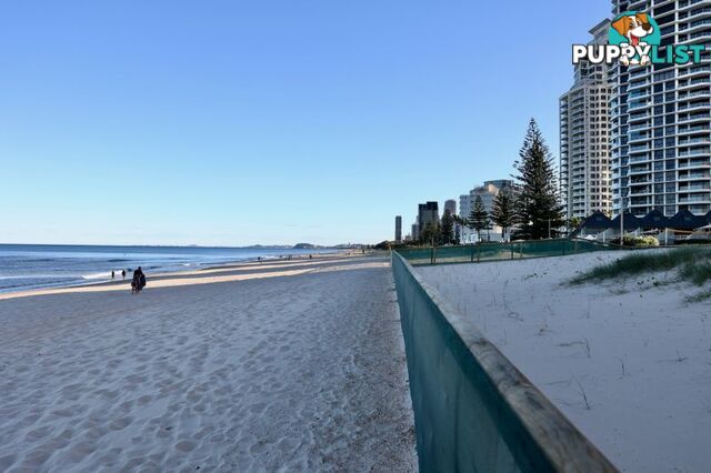 5 29-31 Old Burleigh Road Surfers Paradise QLD 4217