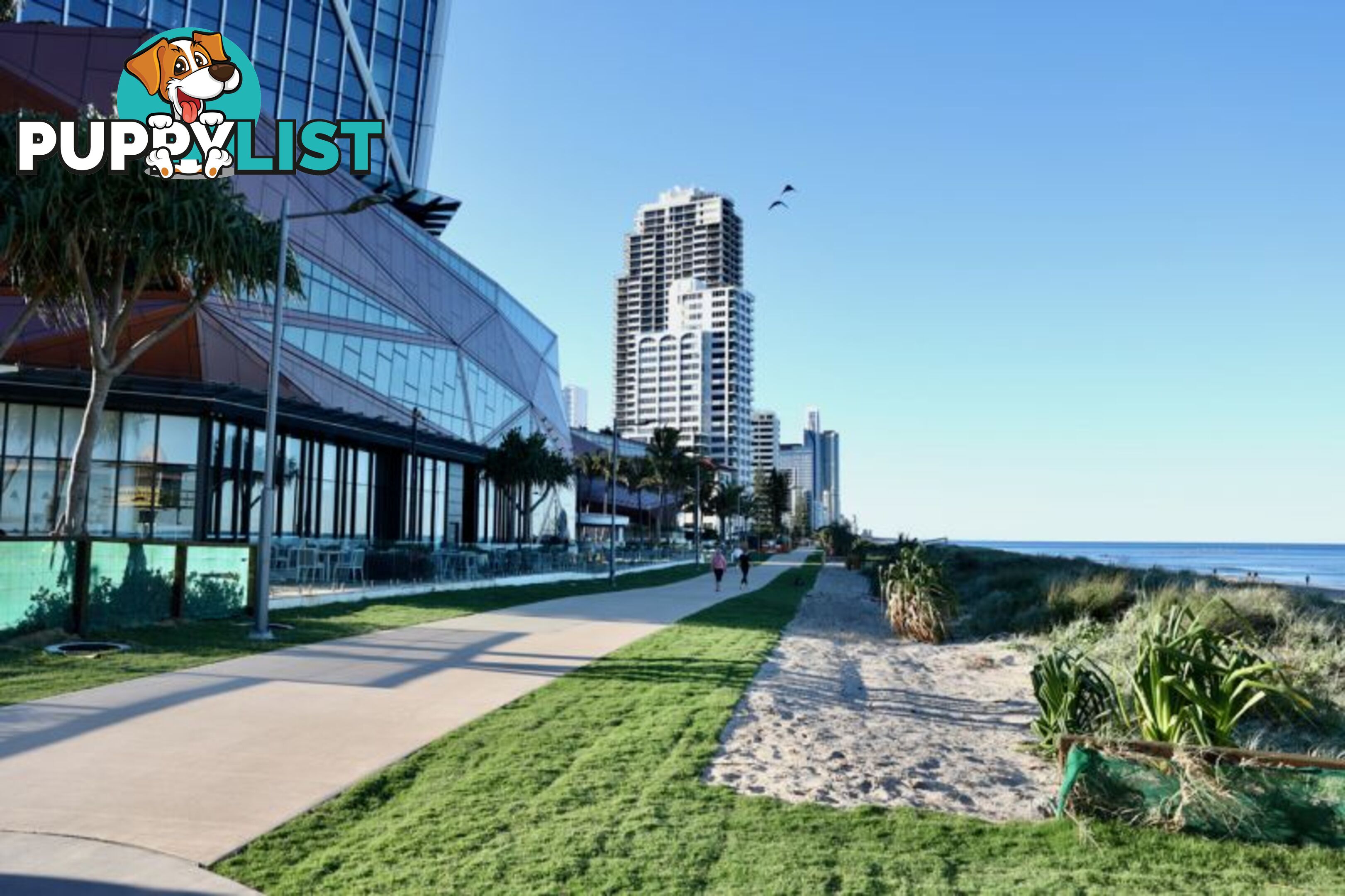 5 29-31 Old Burleigh Road Surfers Paradise QLD 4217