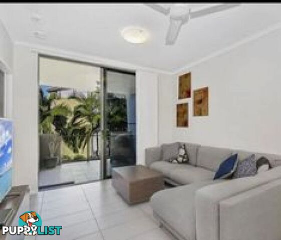 10202 10 Kokoda Street Idalia QLD 4811