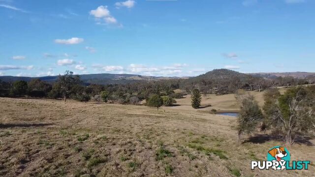 59 Robson Road Boonah QLD 4310