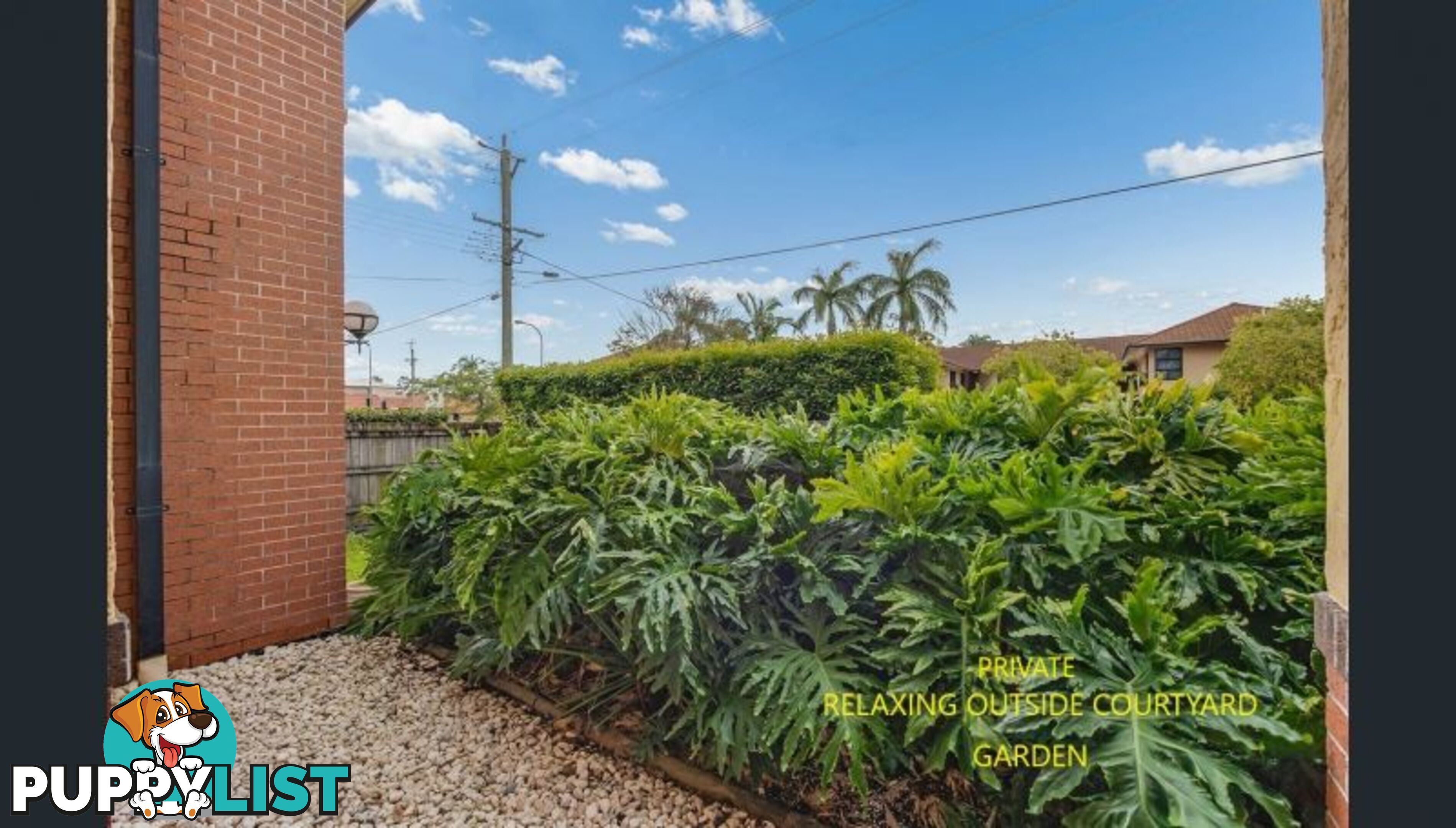 3 151 Beatrice Tce Ascot QLD 4007