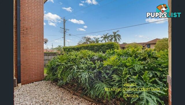 3 151 Beatrice Tce Ascot QLD 4007