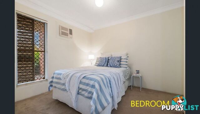 3 151 Beatrice Tce Ascot QLD 4007