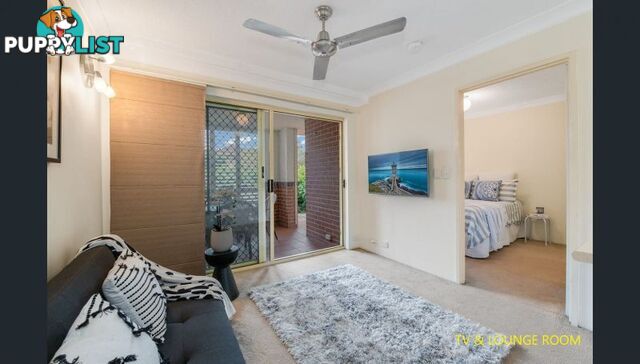 3 151 Beatrice Tce Ascot QLD 4007