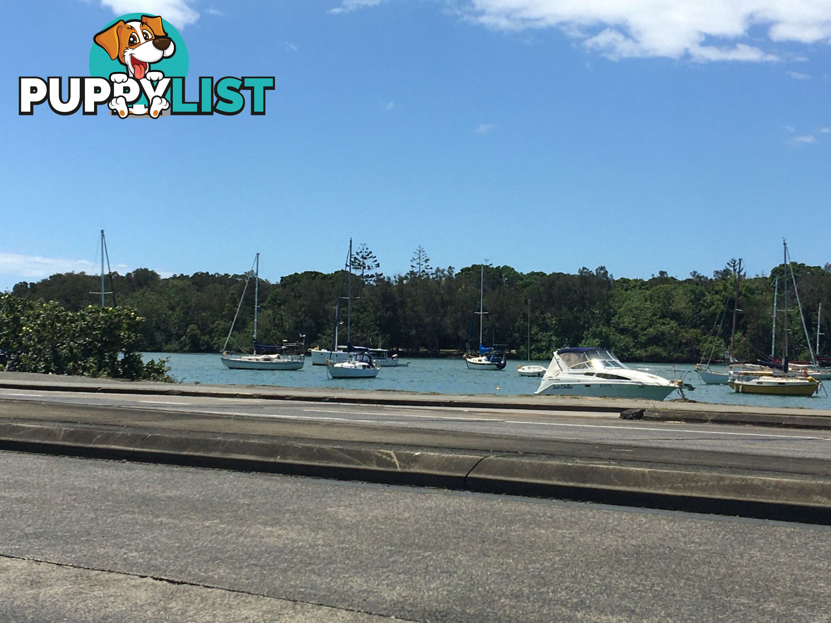 9 Firetail St TWEED HEADS SOUTH NSW 2486