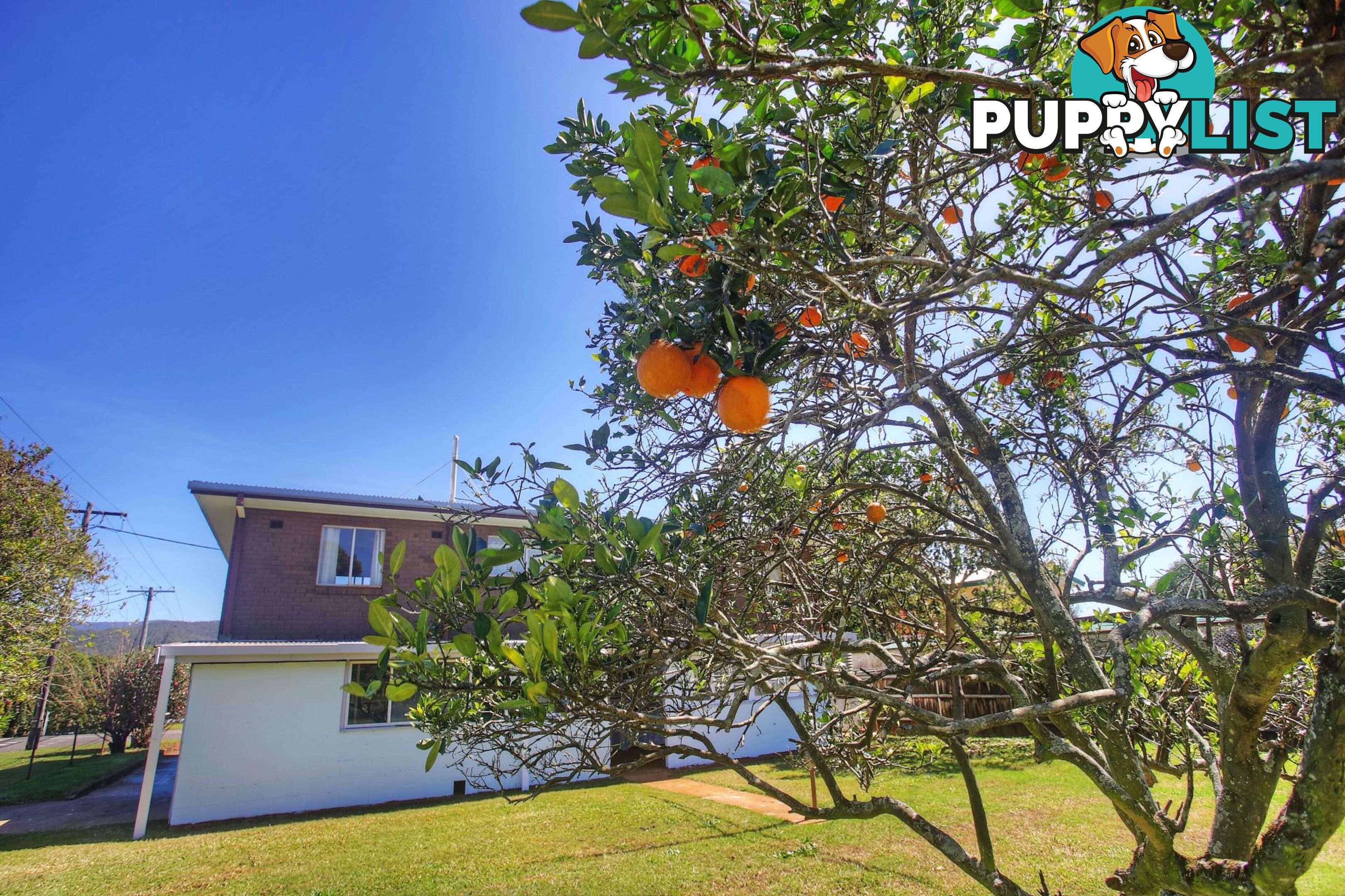 39-41 Kelly Street Atherton QLD 4883