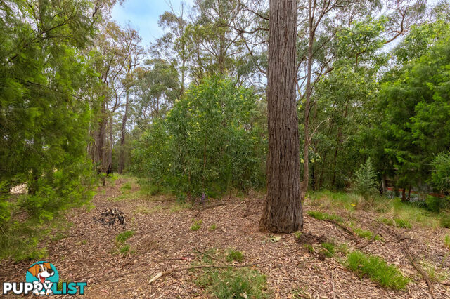 24 Westrops Road COOLAGOLITE NSW 2550