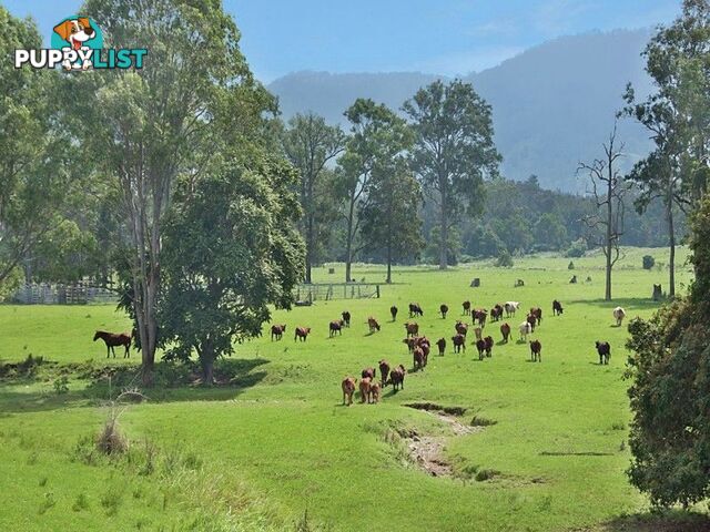 Cambroon QLD 4552