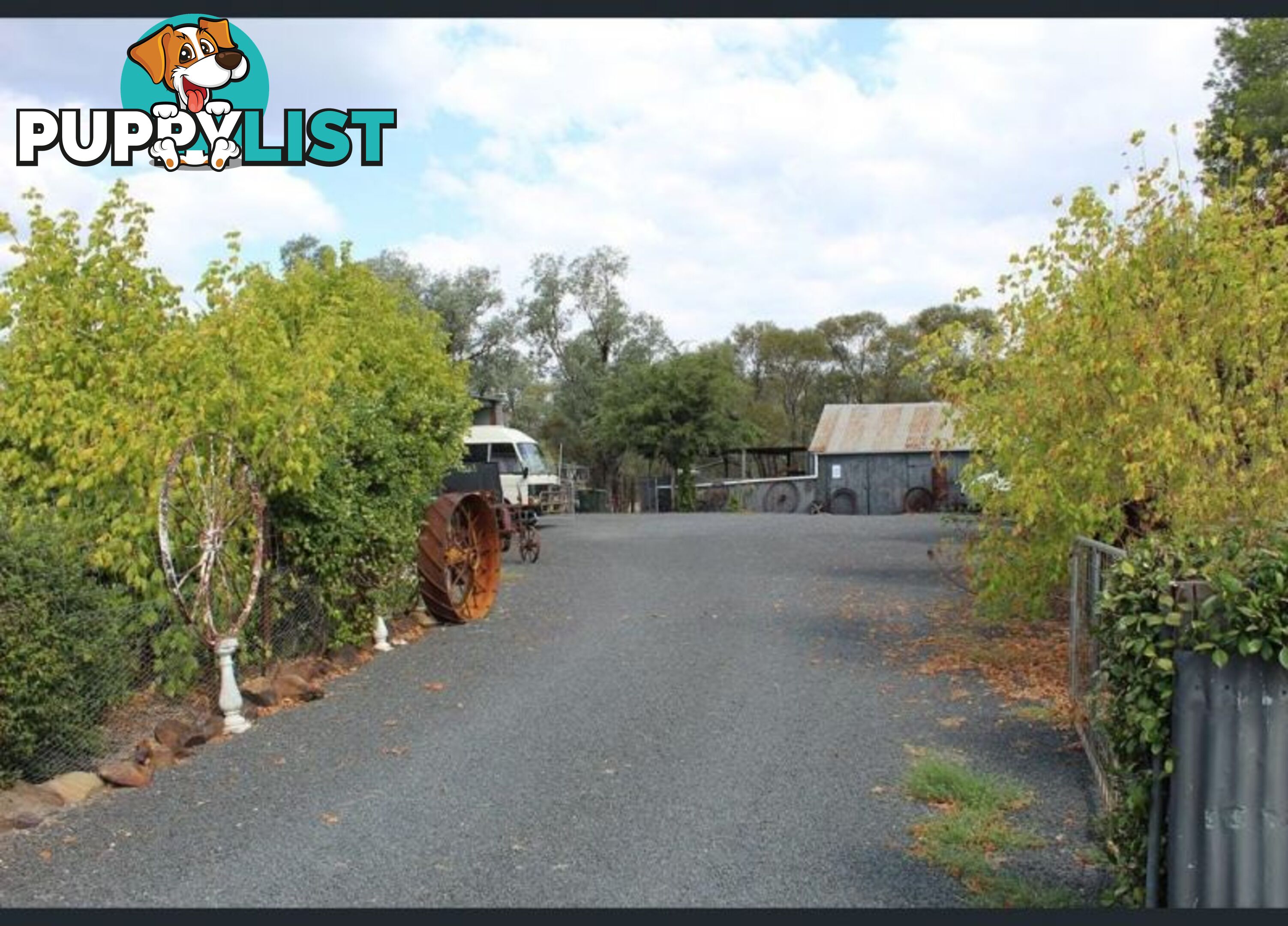 43 Gragin Road WARIALDA NSW 2402