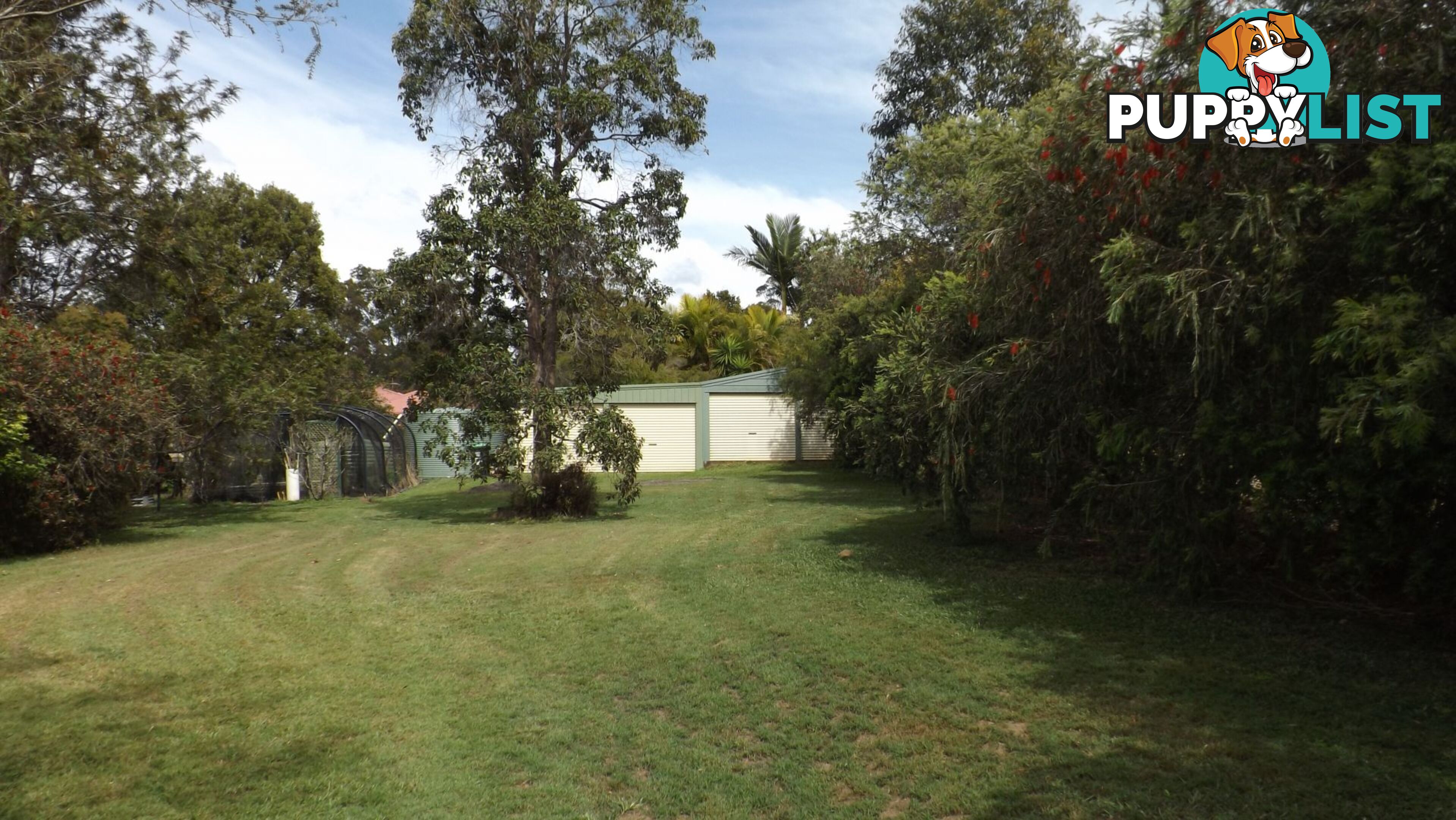 3 Tullarook Grove Spring Grove NSW 2470