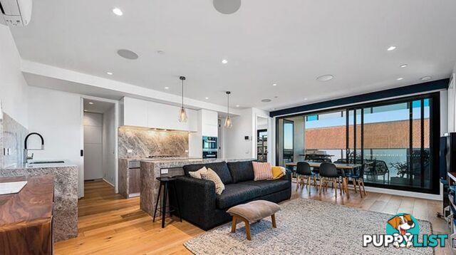 406 77 Hawthorn Road Caulfield North VIC 3161