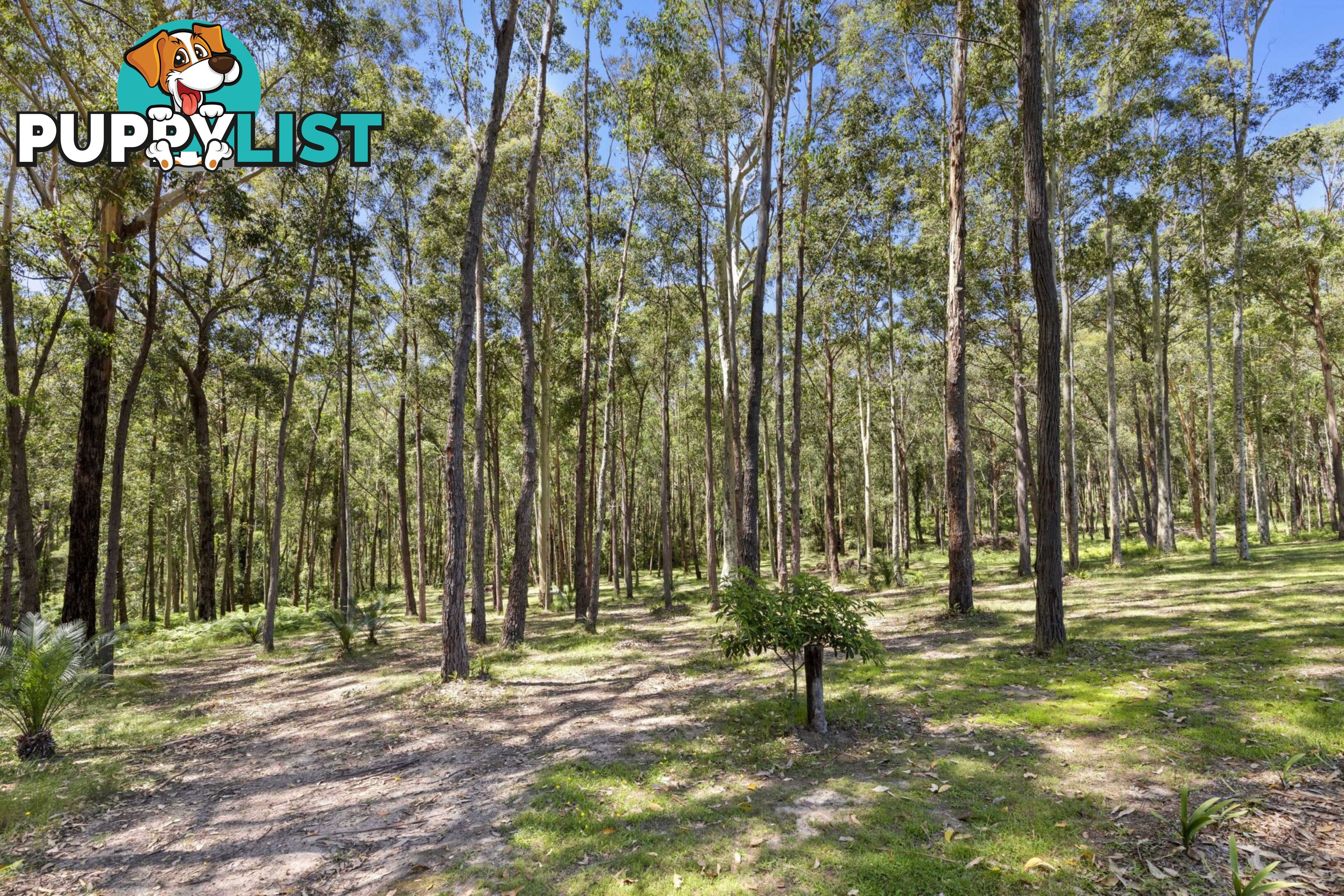 8 Woodlot Place BATEHAVEN NSW 2536