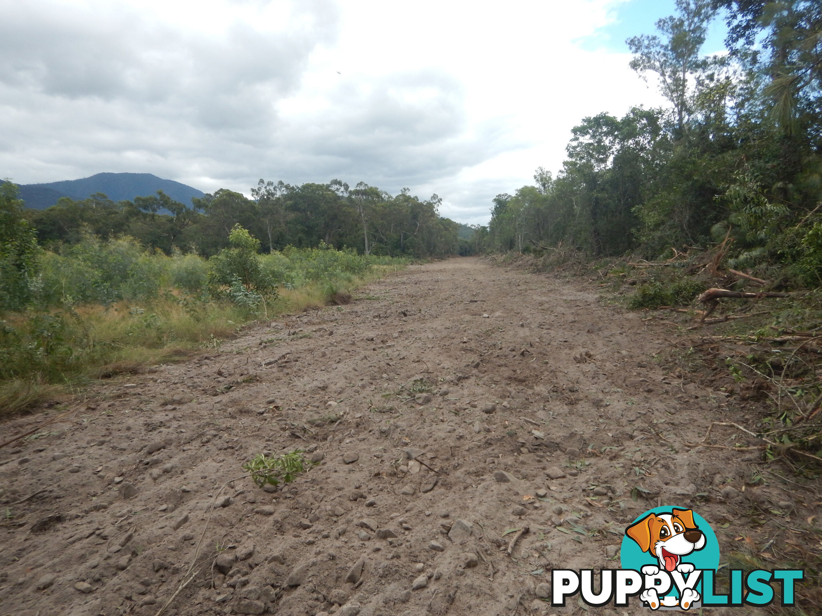 Lot 6 Stony Creek Road Cardwell QLD 4849