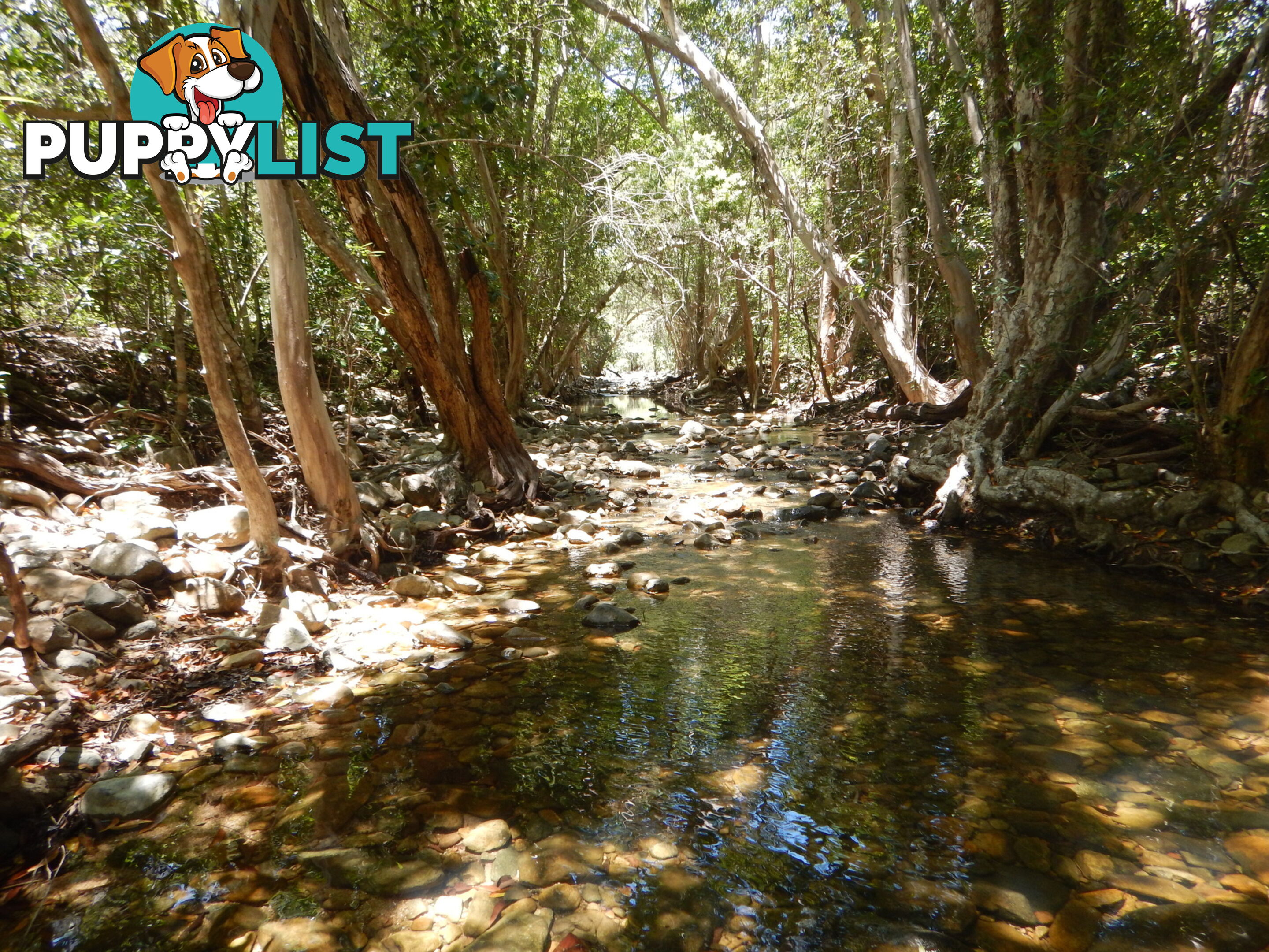 Lot 6 Stony Creek Road Cardwell QLD 4849